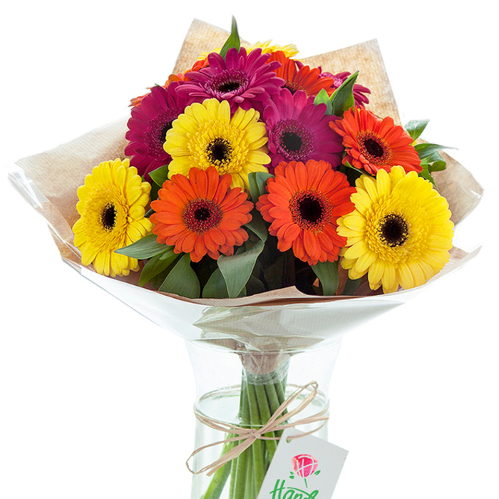 A radiant, hand-tied bundle of Gerbera daisies claims attention in this vivid arrangement, carefully prepared by a Dalston florist and set against a crisp white background. The bouquet offers a dynamic blend of colour-vivid yellow, energetic orange, and sumptuous magenta-each large daisy head exhibiting a velvety, nearly black centre that serves as a compelling anchor. Fresh, leafy sprigs emerge among the blooms, bringing softness and a connection to nature akin to strolling through nearby Hackney Downs Park. The wrapping, a gently textured layer of light brown kraft paper, confers a touch of rustic warmth and authenticity, while the surrounding glossy cellophane enhances both structure and protection for local delivery. The stems are arranged to display their healthy green tones, visible within a sleek, clear glass vase filled partway with water-a detail that underscores the bouquet's freshness and the meticulous care of the local artisan. A length of twine, tied with intention, secures the stems, and from it hangs a thoughtfully designed white tag featuring a minimalist red rose illustration-discreet yet elegant. The image conveys an uplifting, joyful spirit suited to Dalston's vibrant community-ideal for birthdays, anniversaries, or as a thoughtful gesture to share the area's lively character. Bathed in natural light and artfully composed, the bouquet highlights the expertise and contemporary style unique to Dalston Florist and the surrounding East London neighbourhoods.