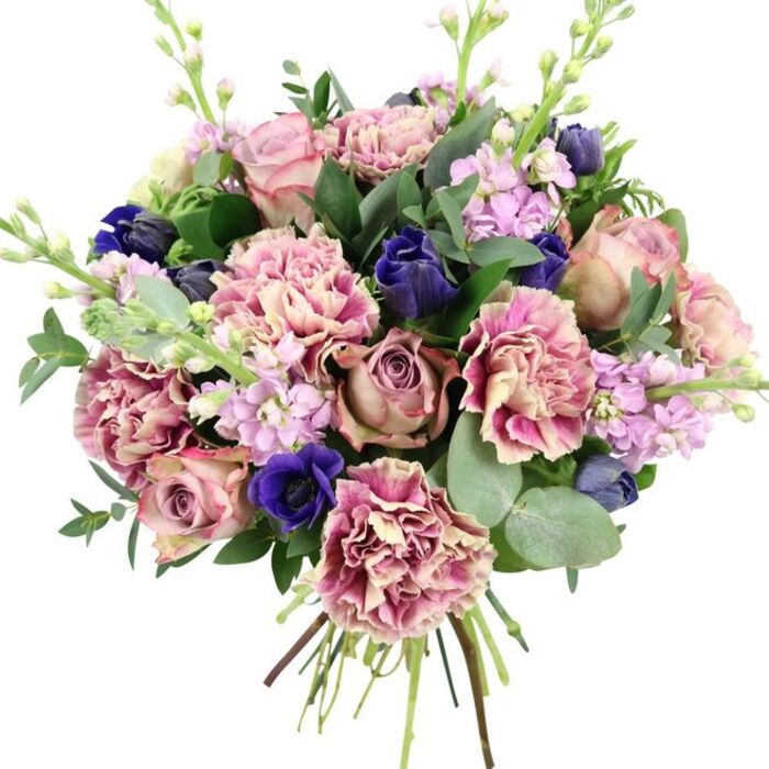 This image shows a luxurious, hand-tied floral bouquet sharply defined against a minimalist white background, allowing every bloom to be appreciated in detail. Central to the composition are several large garden roses, fully and half-open, in a palette of blush pink, dusty mauve, and antique rose; their spiralled petals overlap in soft layers, creating a focal point of classic, romantic beauty. Encircling them, plush carnations add impressive body, their ruffled petals shaded from warm cream at the centre through blush to deeper fuchsia and plum-pink along the fringed outer edges, lending depth and a tactile softness. Among these are bold strokes of colour provided by deep indigo and royal blue flowers: sleek, tulip-like buds in intense blue are tucked amid the softer tones, while an open royal blue anemone with a nearly black eye is positioned near the front, catching the light and anchoring the bouquet visually. Lifting the arrangement, slender stems of pale lilac and lavender stock emerge between the main blooms, densely packed with tiny flowers that add fine texture and gentle vertical movement. The florals are supported and framed by a mix of greenery, including glossy dark-green leaves and characteristically rounded, silvery eucalyptus that fans outwards, balancing romance with a clean, contemporary edge. Visible at the bottom, the gathered stems are neatly tied, indicating a freshly made bouquet ready for flower delivery across Dalston, whether to a creative studio near Shacklewell Lane or an apartment overlooking the bustle of Kingsland Road. The overall effect is of a refined yet approachable arrangement, perfect for marking anniversaries, stylish birthdays, or offering a graceful, uplifting gesture during more reflective moments.